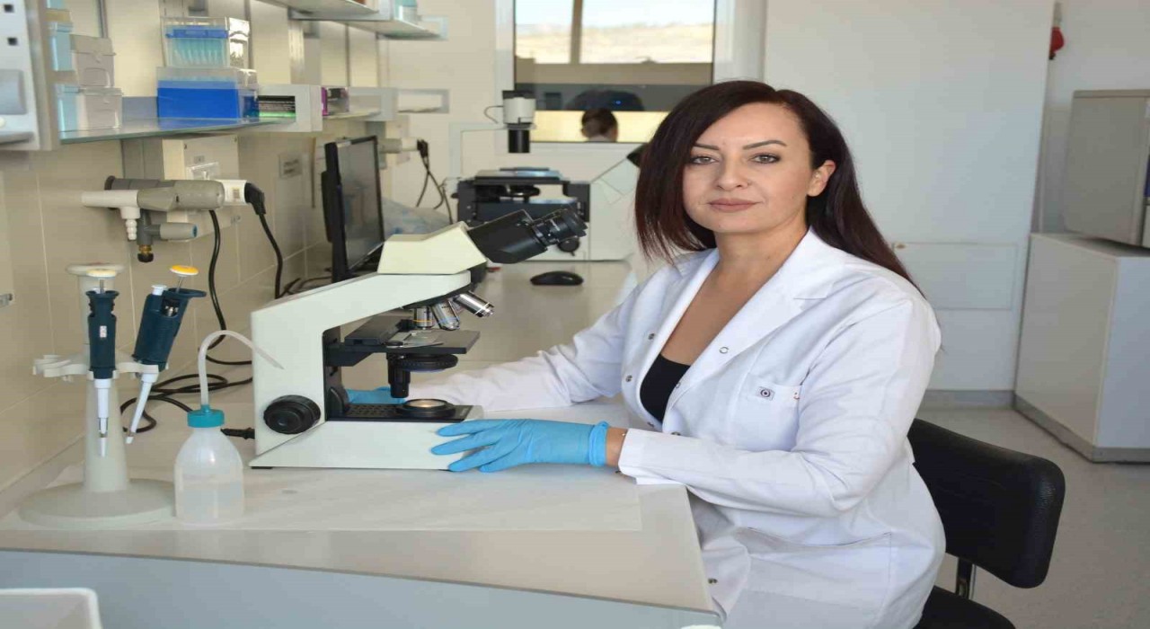 Candida aurise karşı Türkiyenin en kapsamlı araştırması tamamlandı