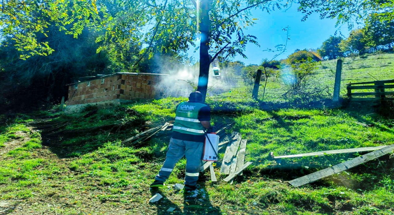 Canikte kahverengi kokarca ile mücadele