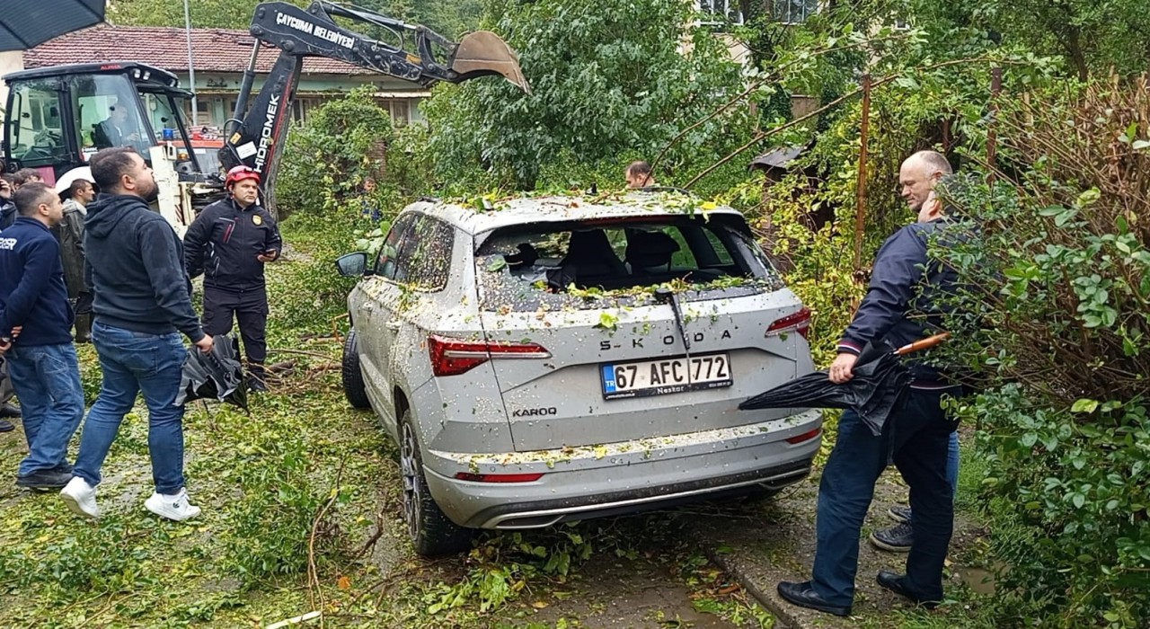 Çaycumada park halindeki otomobilin üzerine ağaç devrildi