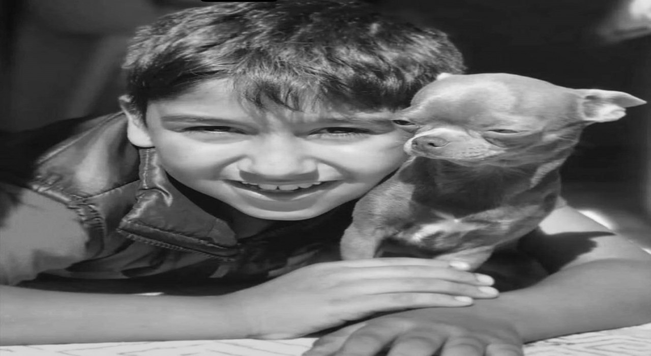 CHPli Başkan Yardımcısının araçla çarptığı çocuk hayatını kaybetti