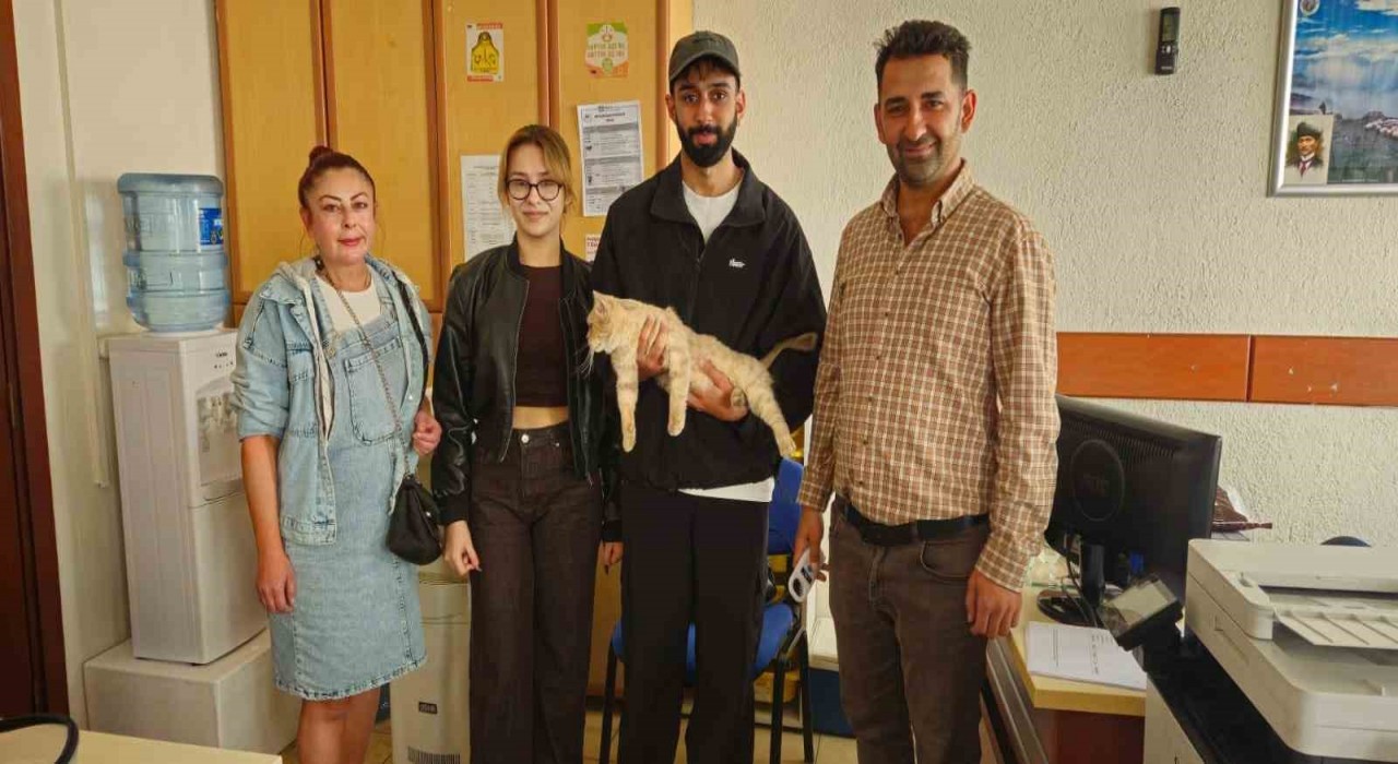 Çip sayesinde kayıp kedi kısa sürede sahibine kavuştu