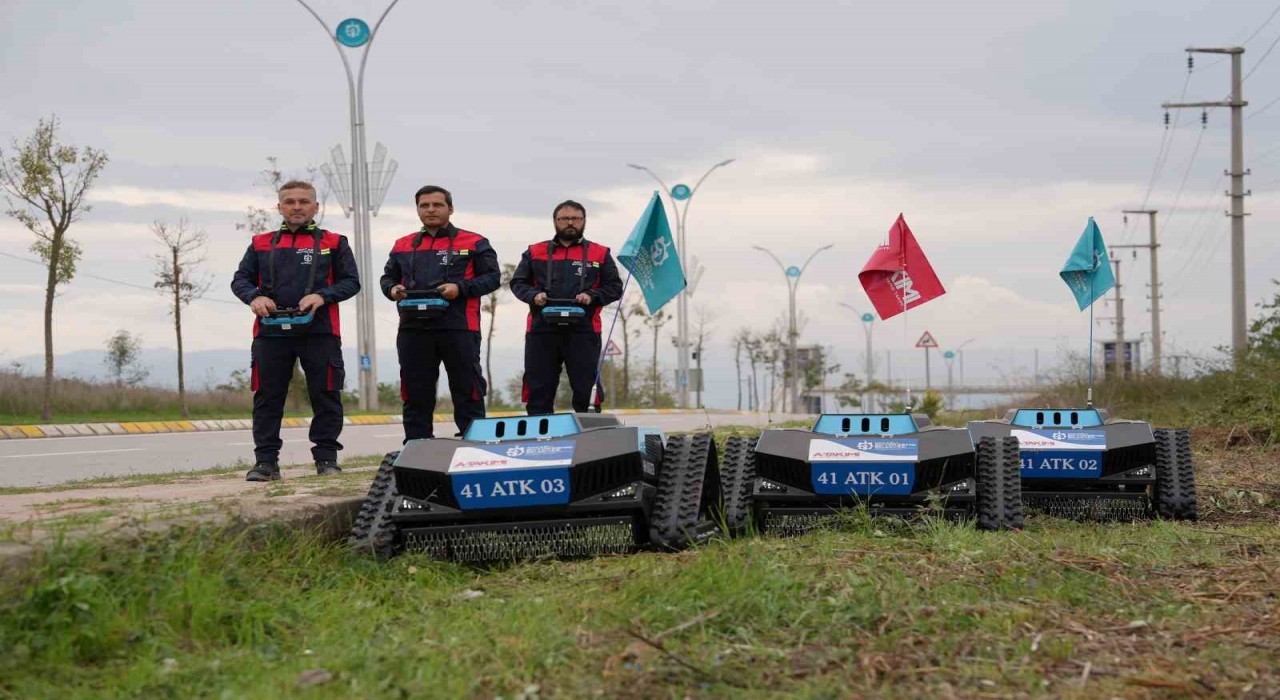 Dar alanların yeni gücü: Çalı Canavarı