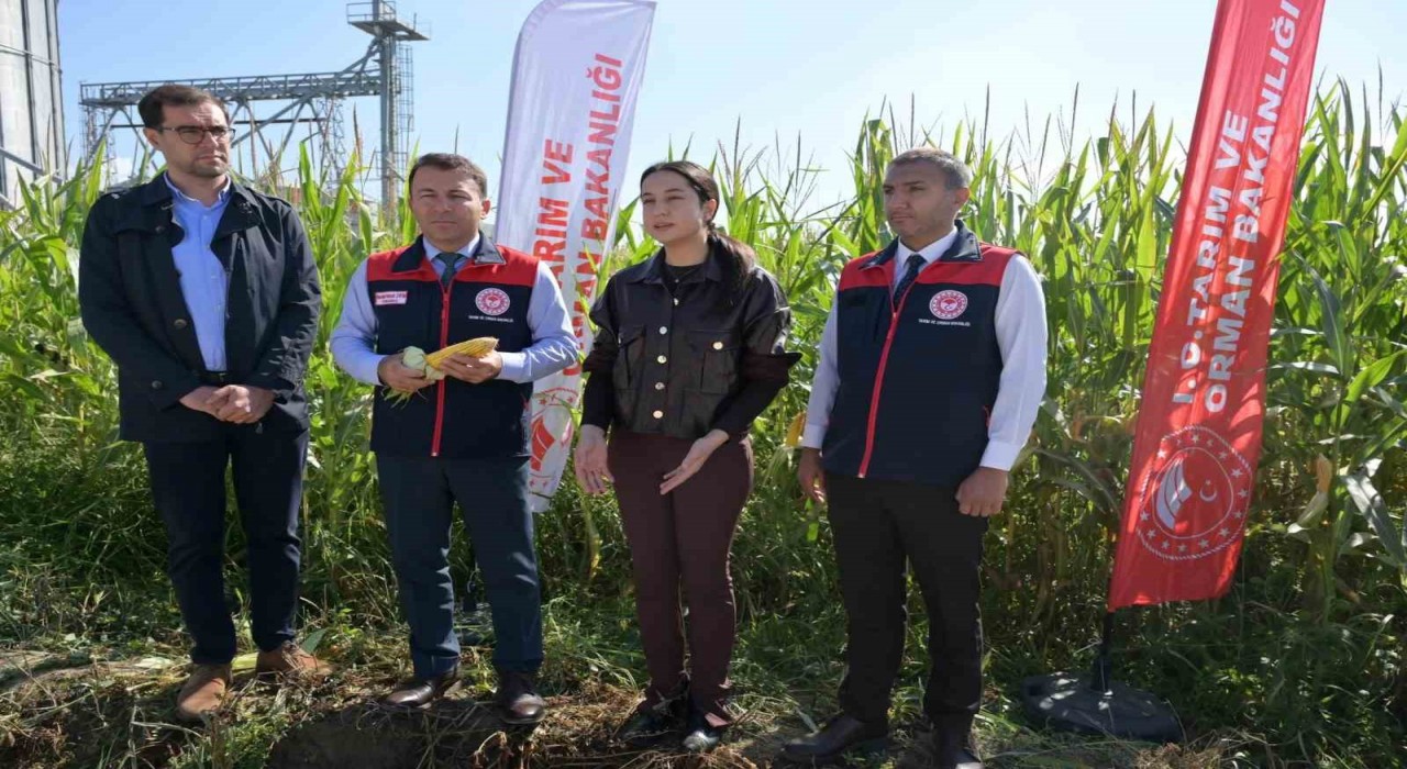 Denizlinin toprakları organik maddelerle bereketleniyor