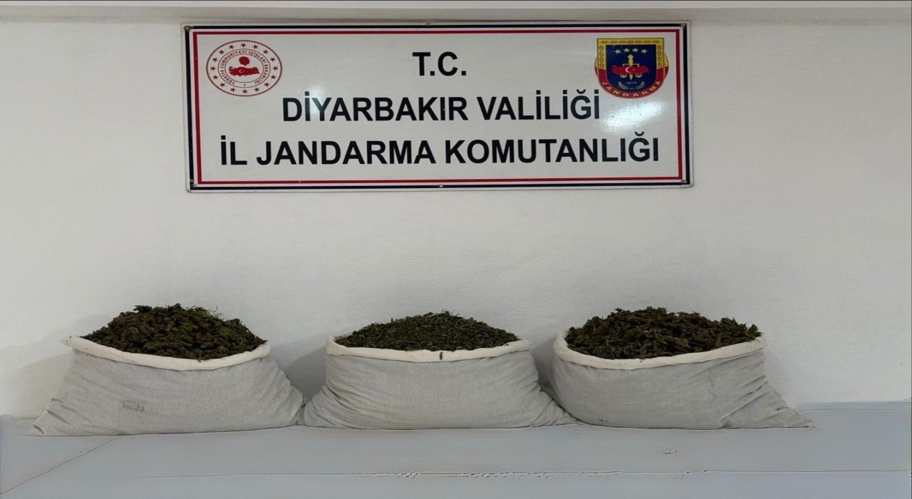 Diyarbakırda 15 kilo skunk ele geçirildi