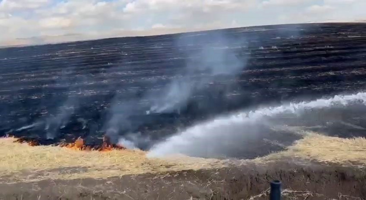 Diyarbakırda anız yangını
