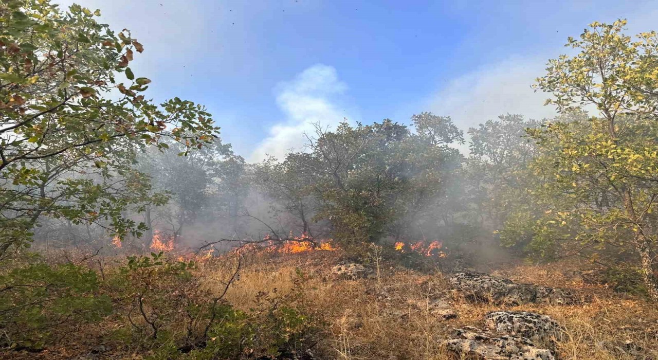 Diyarbakırda örtü yangını 7 saat sonra helikopter desteğiyle söndürüldü