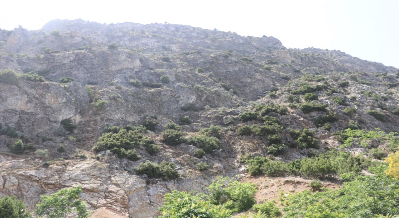 Doğa gezisine çıktı, En tepeye çıktım, mükemmel bir manzara var dedikten sonra haber alınamadı