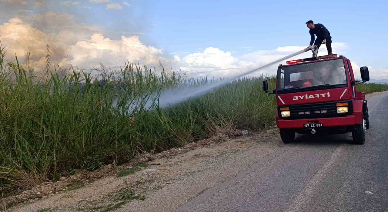 Dökülen çöpler kargıların yanmasına neden oldu
