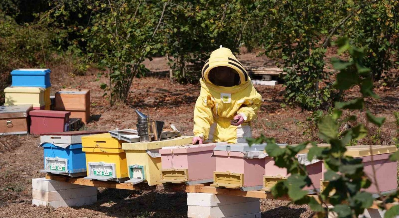 Düzce Üniversitesi mezunlarından uluslararası başarı