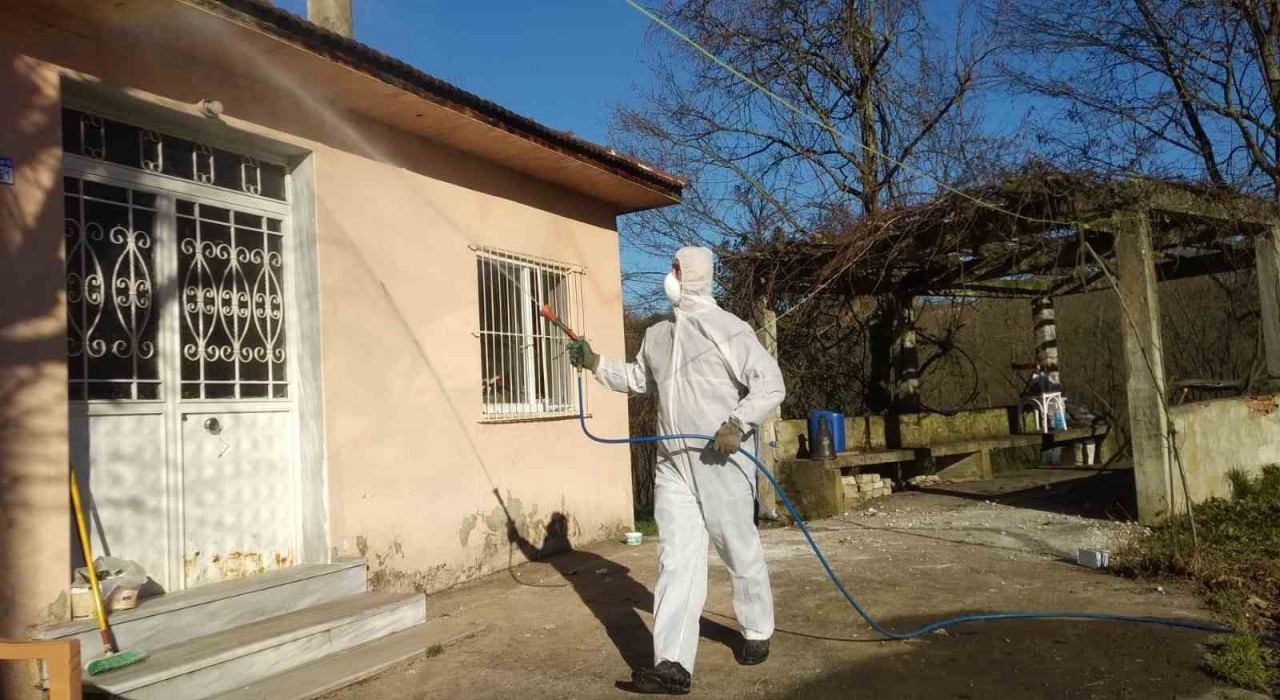 Düzcede kahverengi kokarca ile kışlak mücadelesi devam ediyor