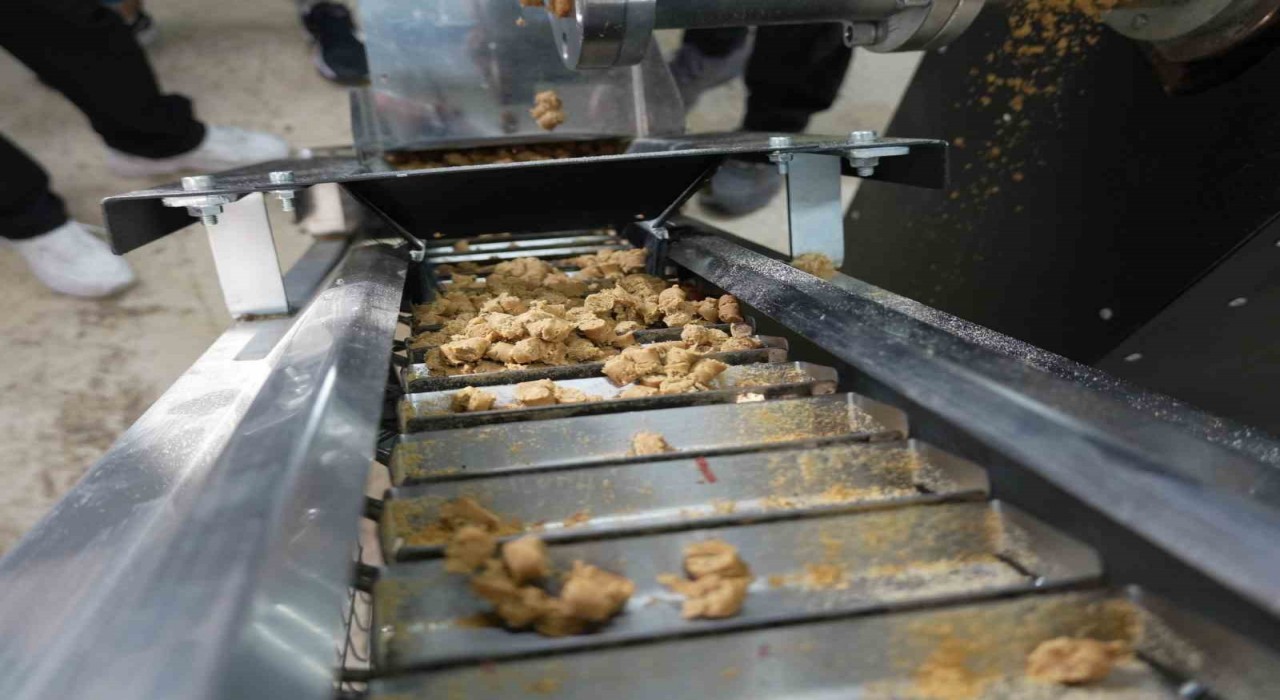 Düzcede sokak hayvanları için mama üretim tesisi kuruldu