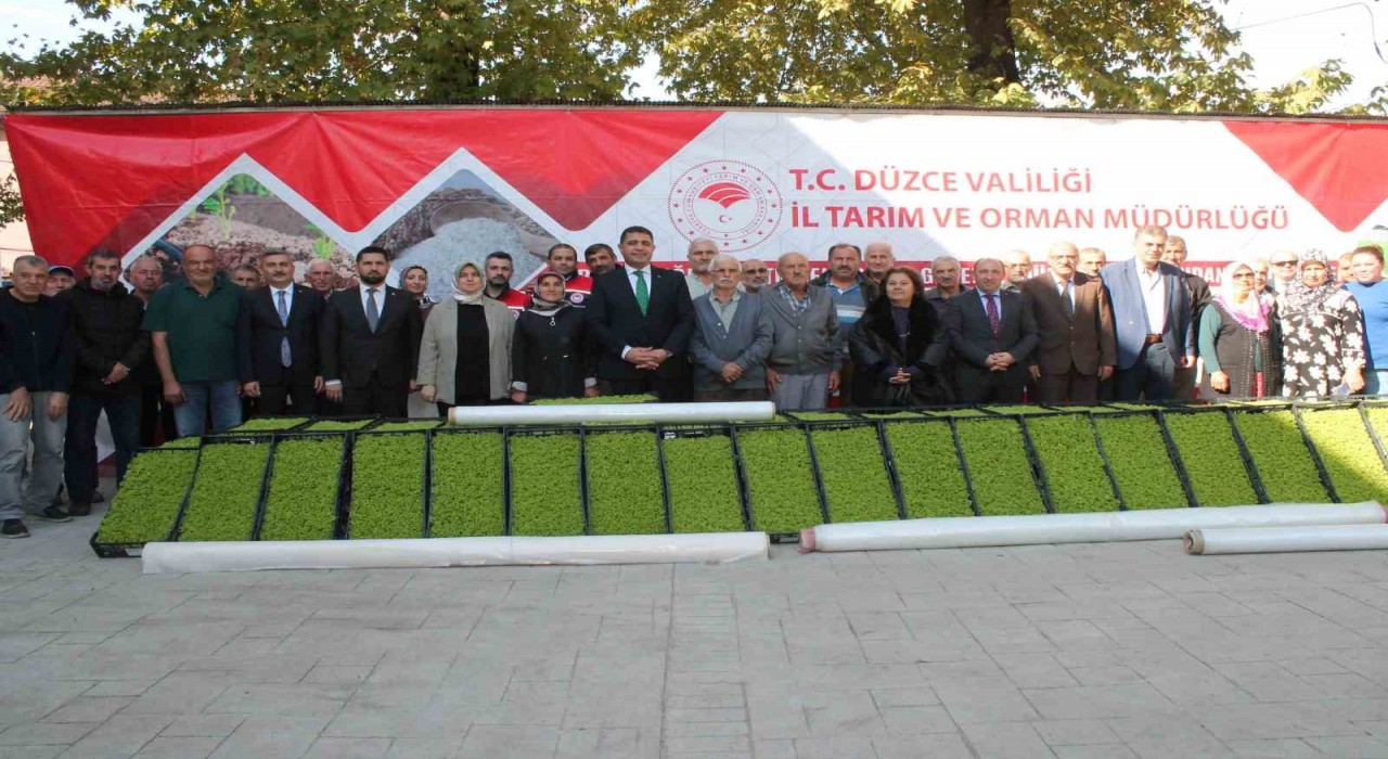 Düzcede yüzde 75 destekli 232 bin 500 adet marul fidesi dağıtıldı