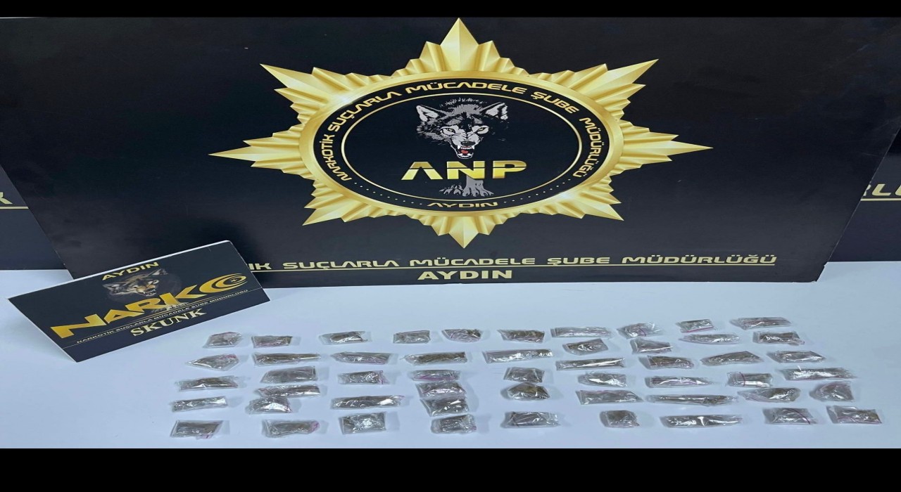 Efelerde uyuşturucu operasyonu: 1 kişi tutuklandı