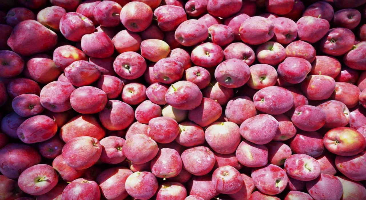 Egenin elma deposu Denizlide üreticinin yüzü gülüyor