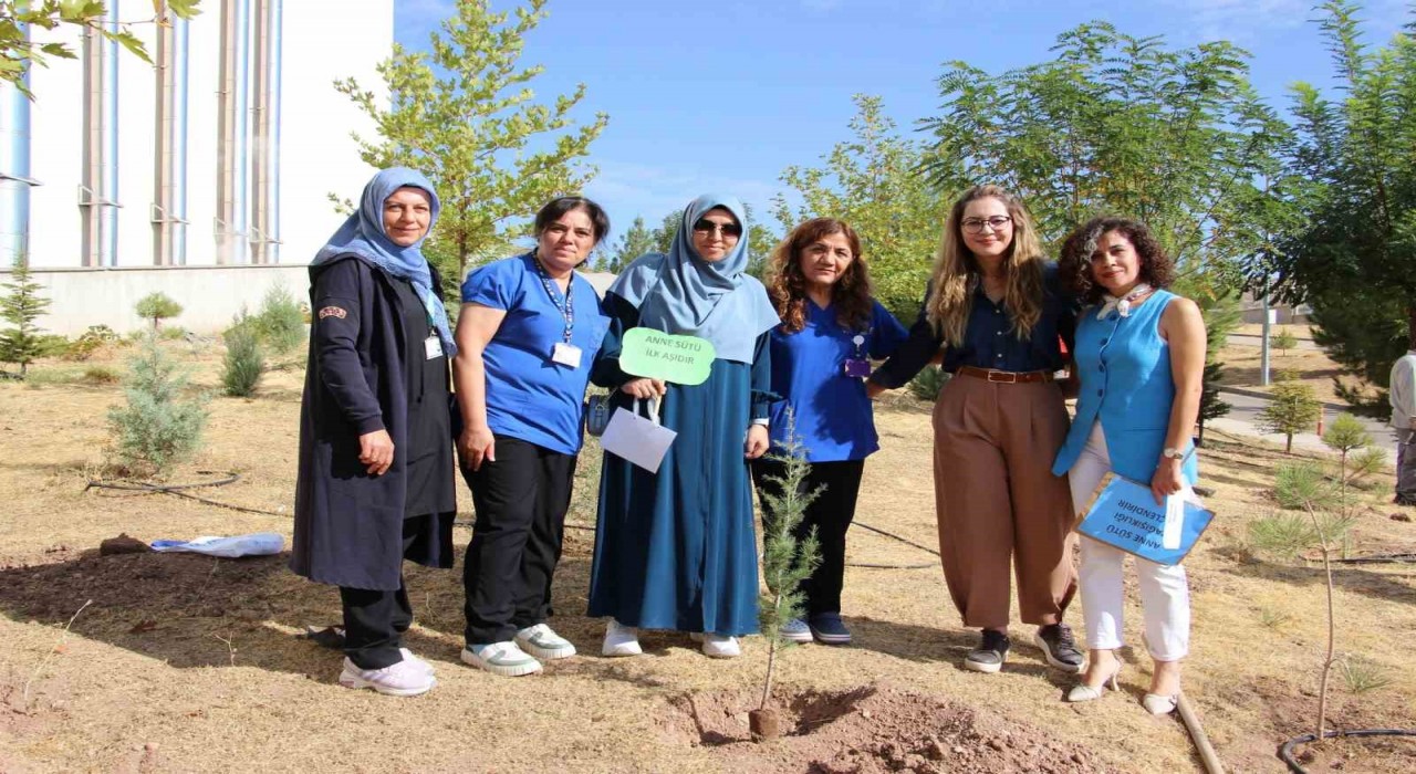 Elazığda fidan dikimi yapıldı