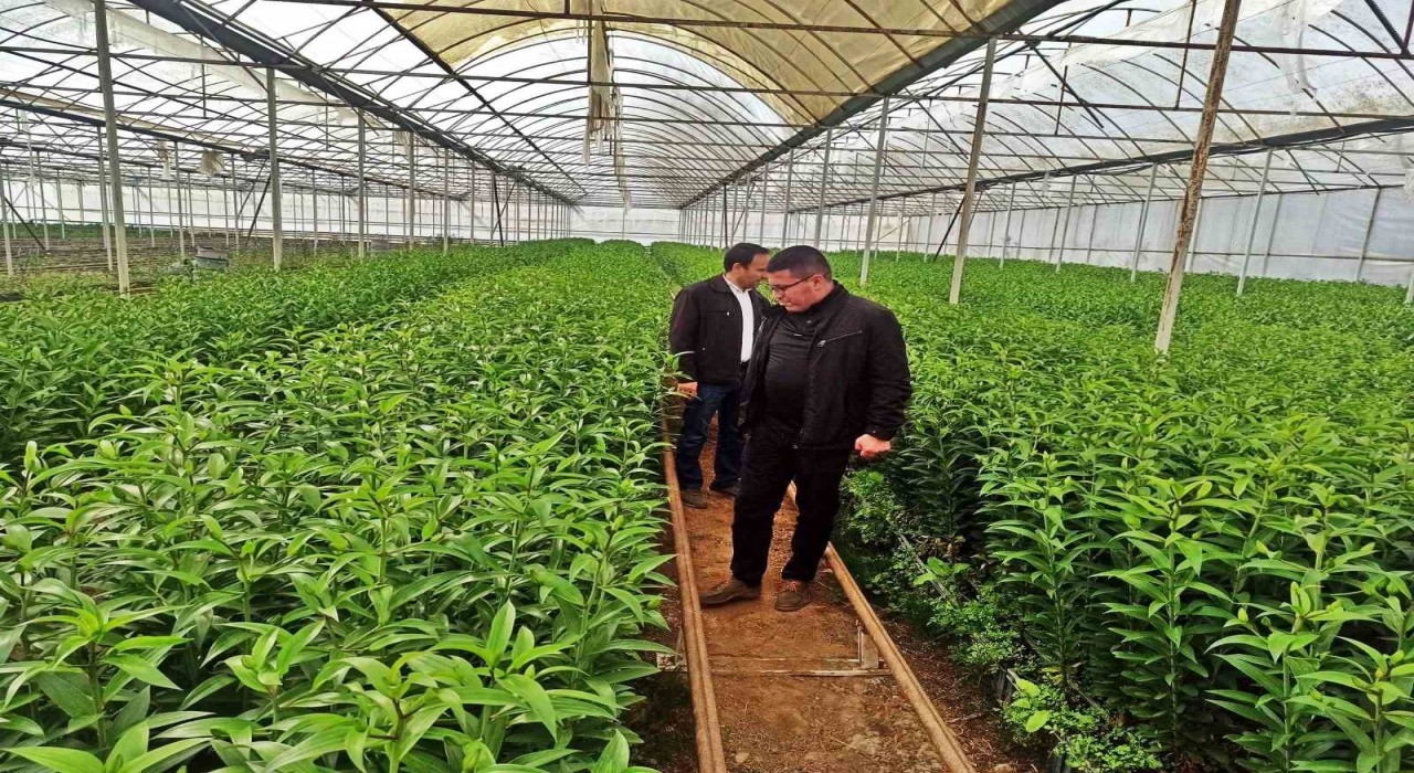 Emette üreticiler için Simavdaki seralara teknik gezi