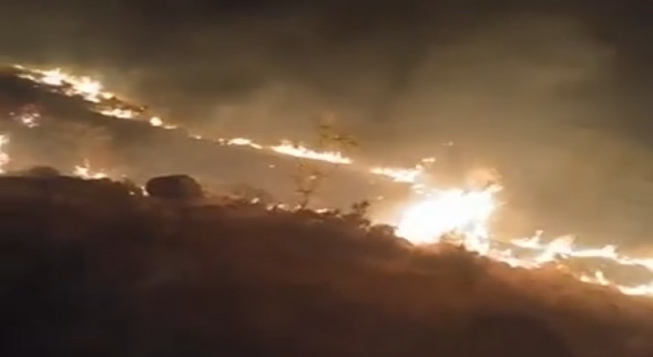 Emirgazide mera yangını