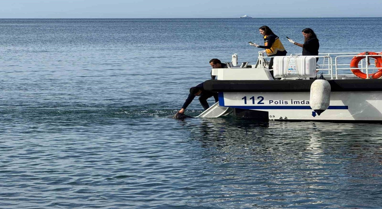 Erdekte denizde erkek cesedi bulundu