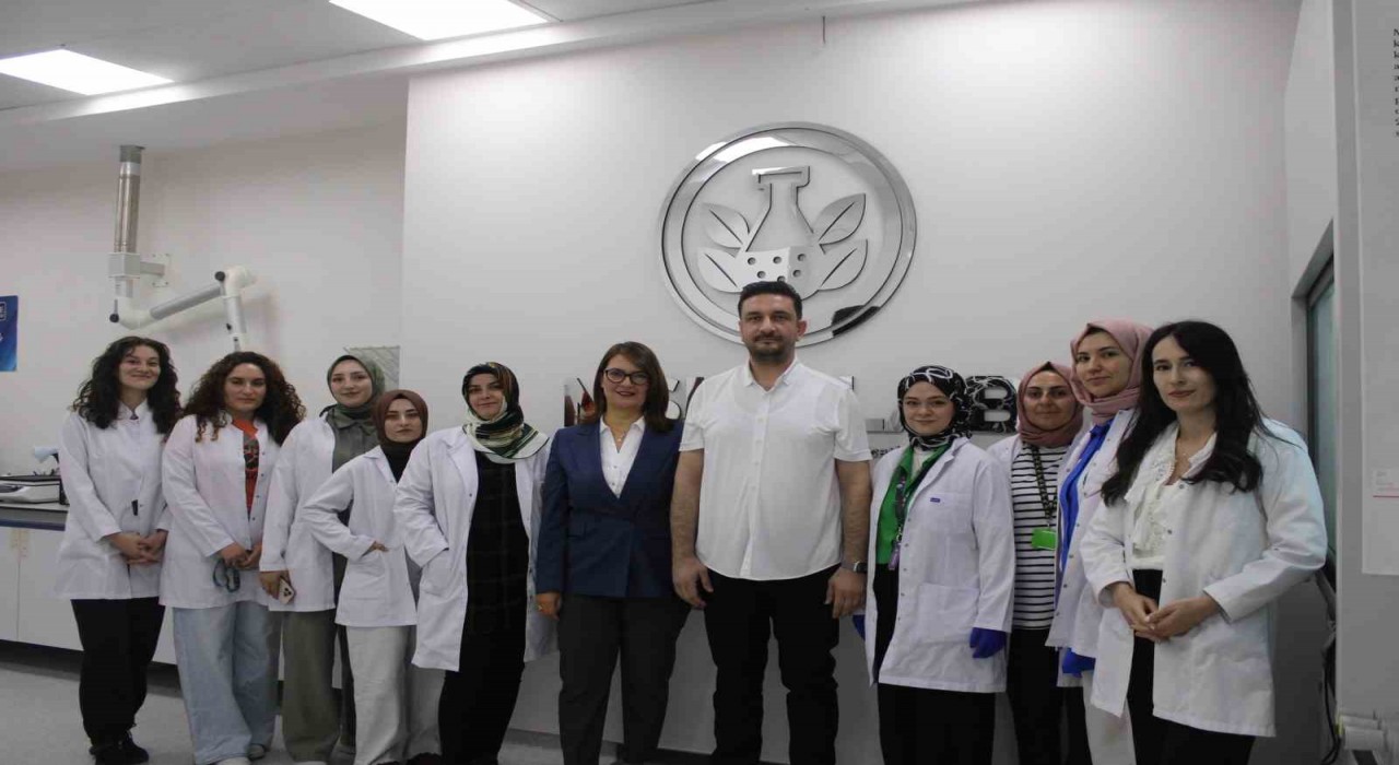 ERÜde hedef kanser hücreleri