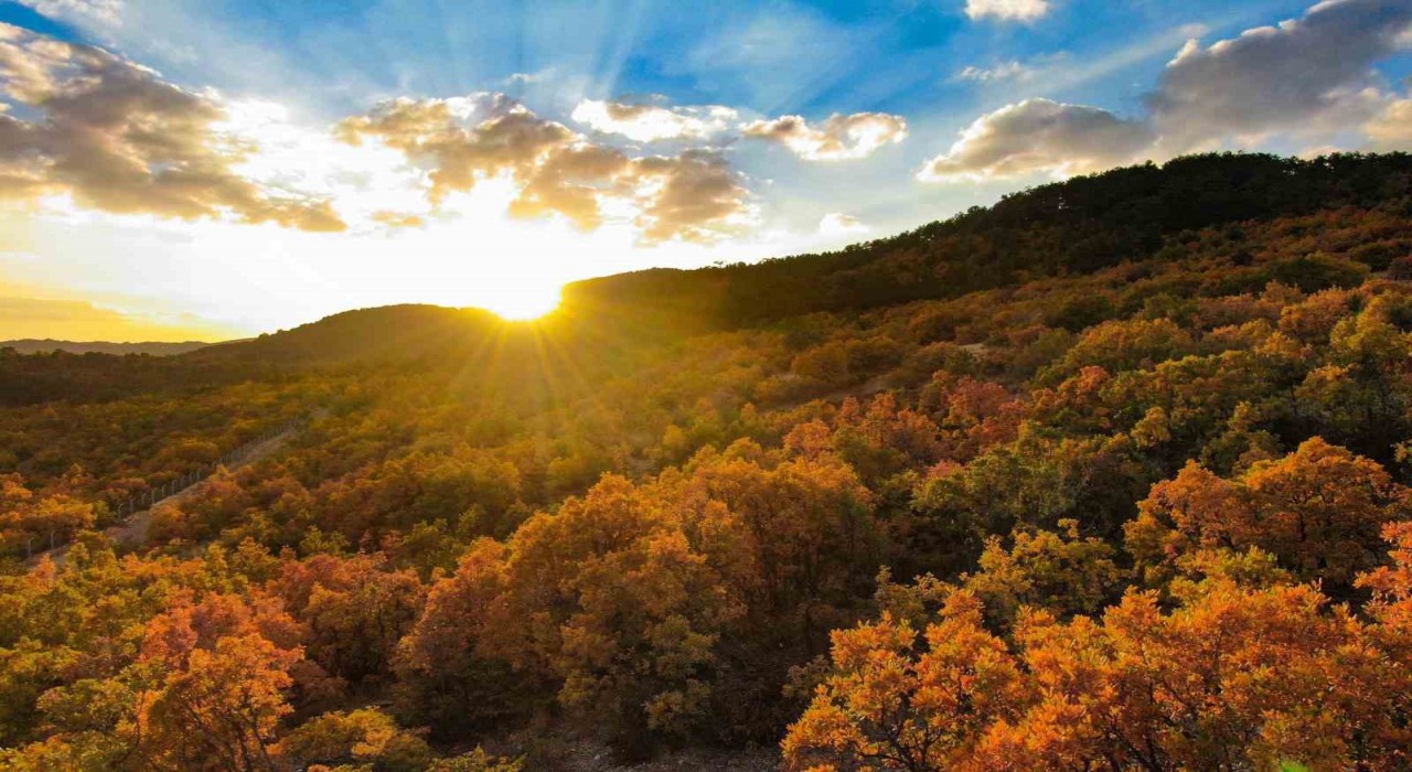 Erzincanda hazan mevsimi güzelliği