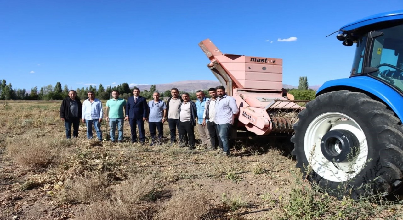 Erzincanda kuru fasulye hasadı başladı