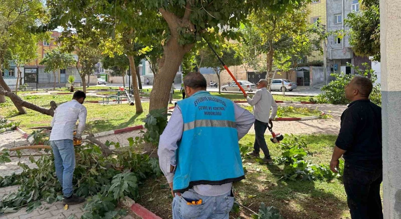 Eyyübiyedeki parklarda bakım ve yenileme çalışması
