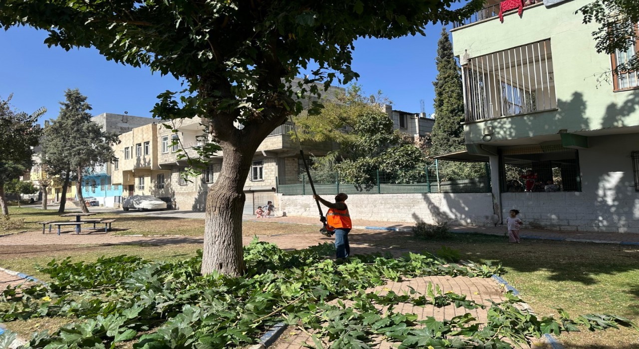 Eyyübiyedeki parklarda sonbahar bakımı