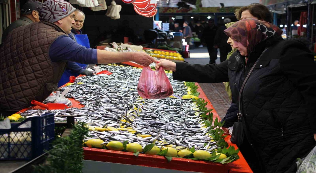 Fiyatı düşen hamsiye talep arttı: Son 10 yıldır böyle güzel hamsi gelmedi