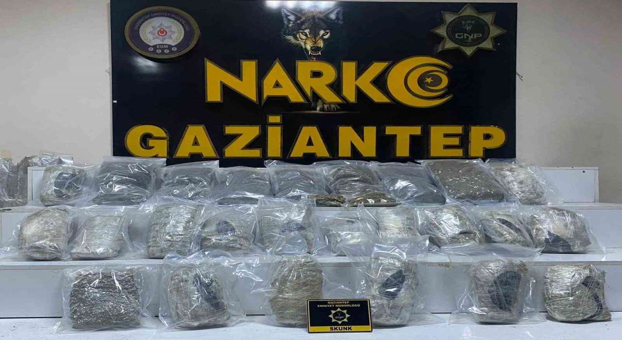 Gaziantepte 13 kilo skunk ele geçirildi