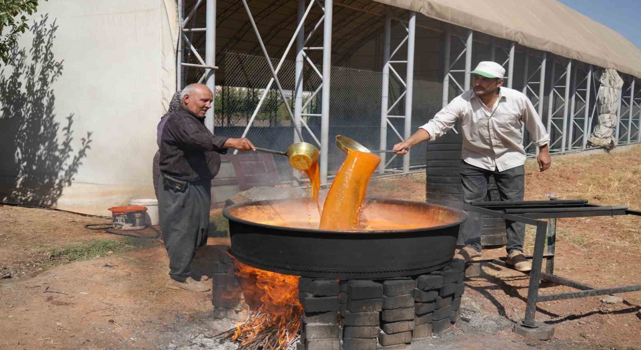 Gaziantepte dev kazanlar pekmez yapımı için kaynıyor