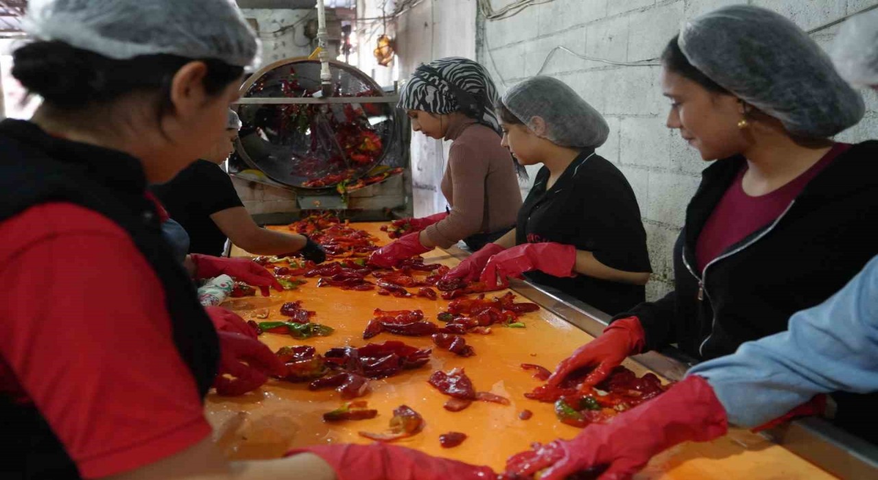 Gaziantepte kadınların acı mesaisi