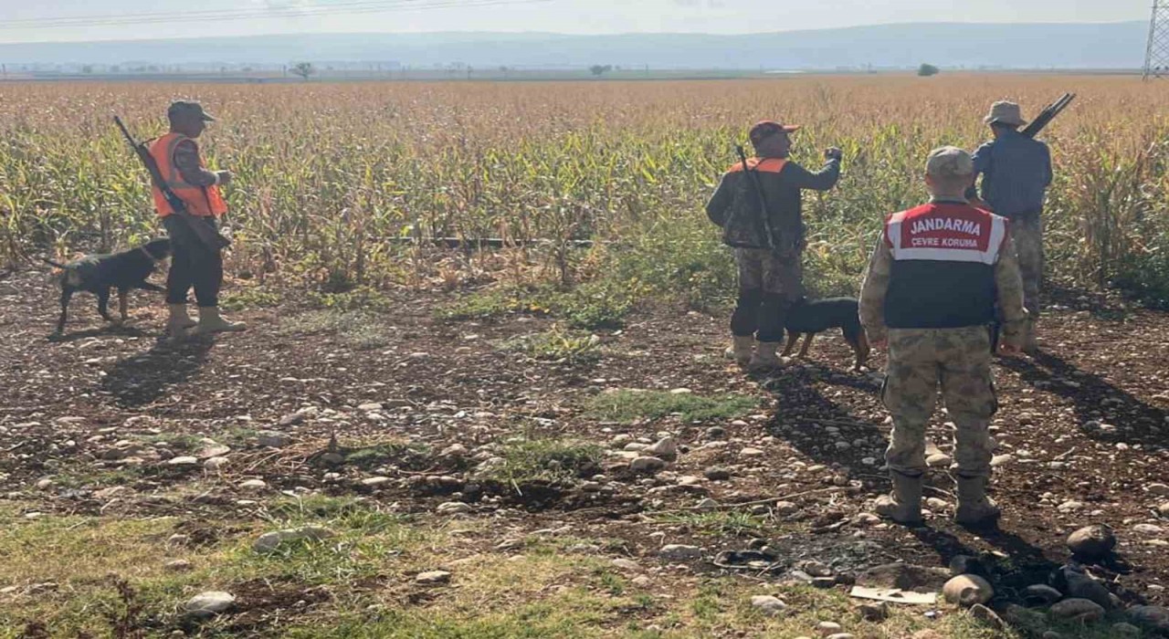 Gaziantepte tarım arazilerine zarar veren yaban domuzları için sürek avı yapıldı