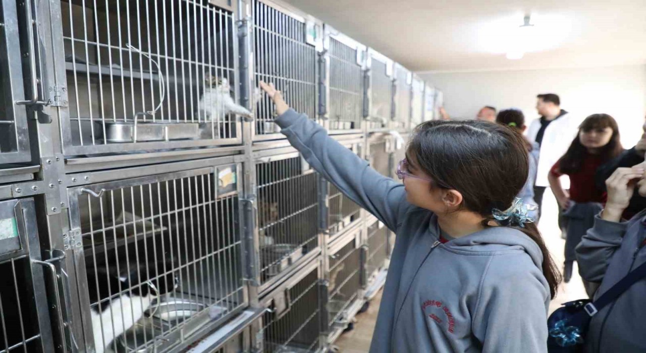 Gaziosmanpaşada Dünya Hayvanları Koruma Gününe özel etkinlik