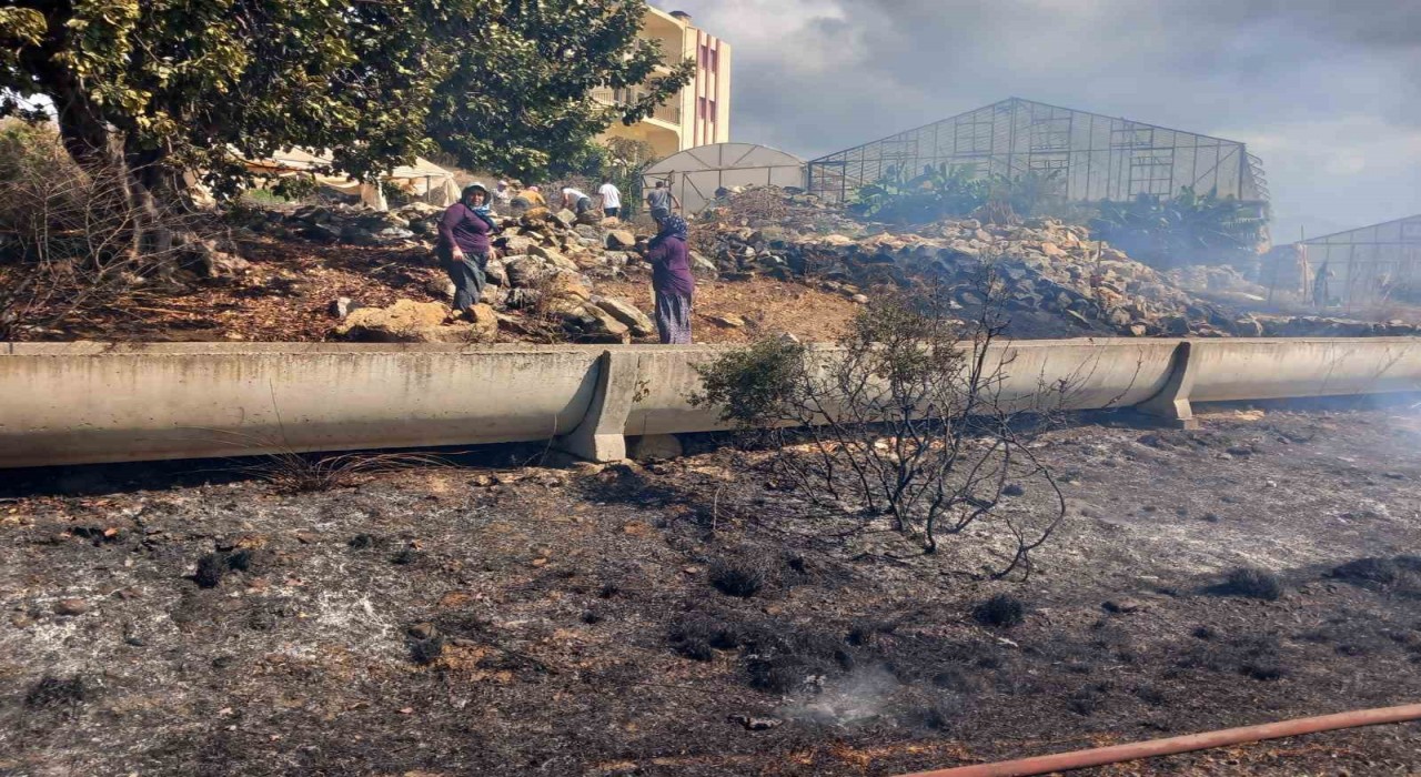 Gazipaşada zirai alanda yangın büyümeden söndürüldü