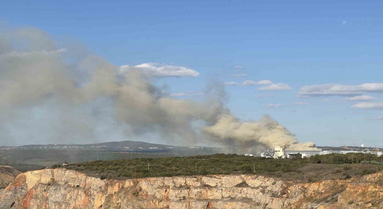 Gebzede fabrika bahçesinde korkutan yangın