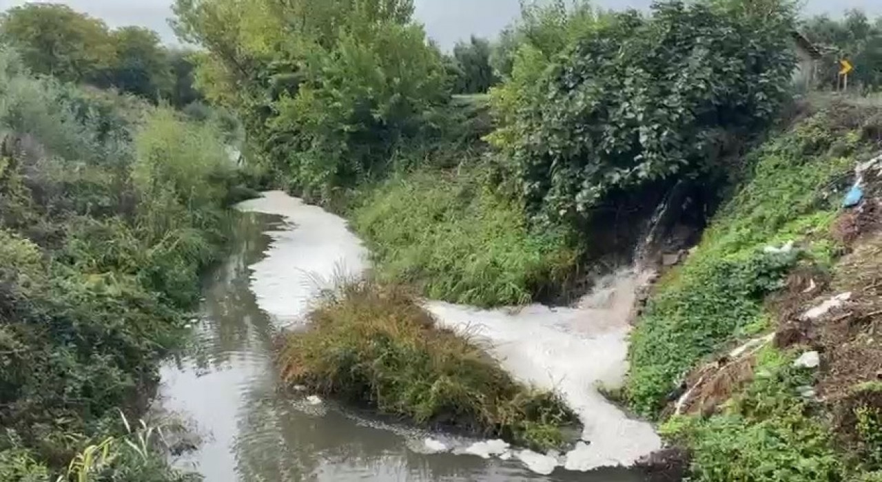 Gemlik Körfezinde kirlilik endişeye yolaçıyor