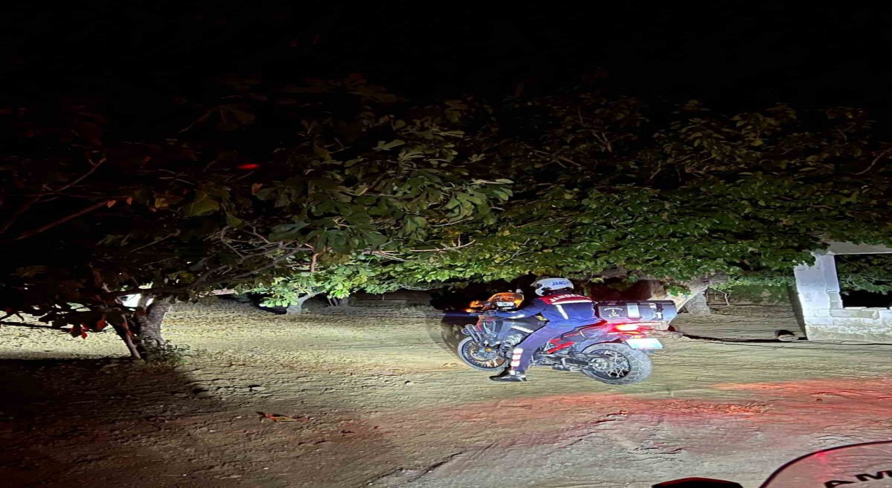 Germencikte jandarma incir hırsızlıklarını önlemek için sahada