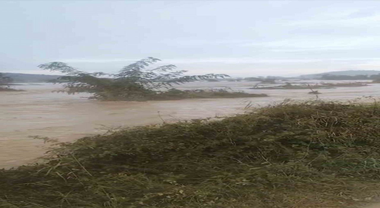 Göçkeadada sel; tarım arazileri sular altında kaldı