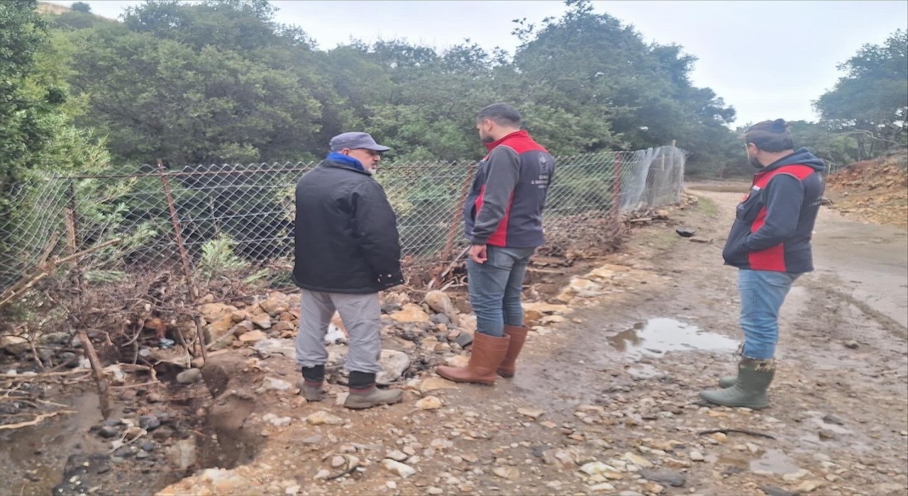 Gökçeadada zarar gören ekili ve dikili alanlarda hasar tespit çalışmaları devam ediyor