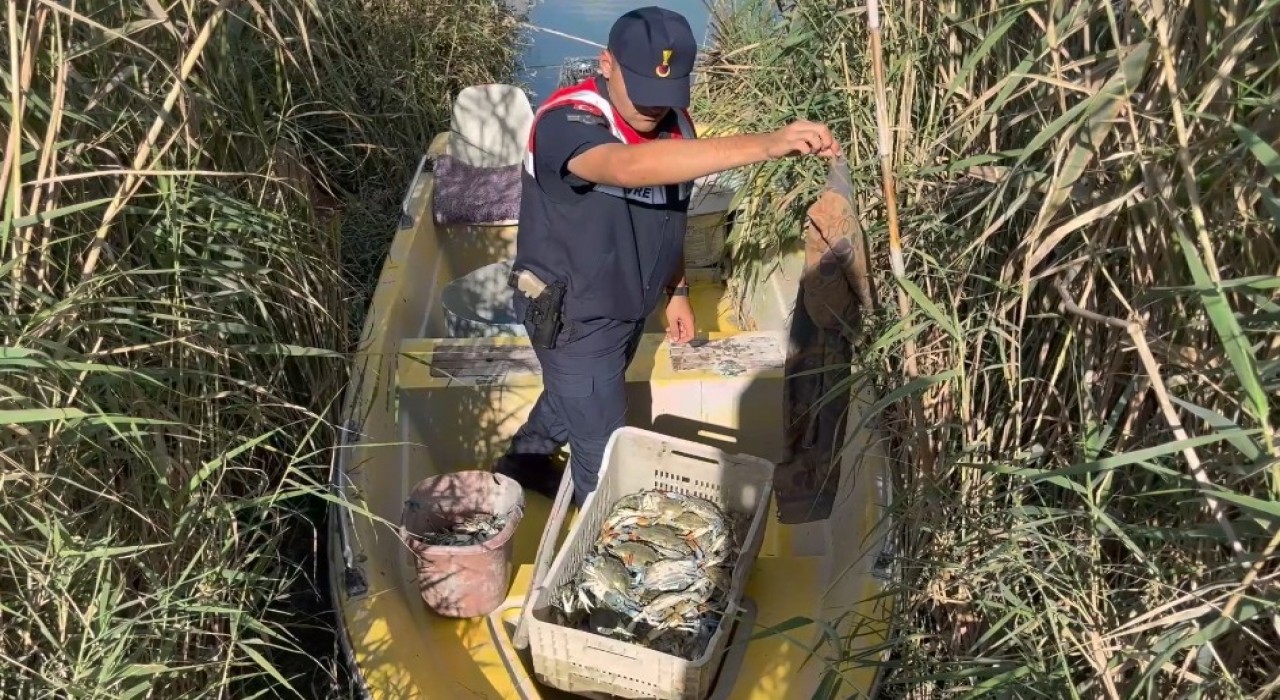 Göksu Deltasında mavi yengeç avcıları yakalandı