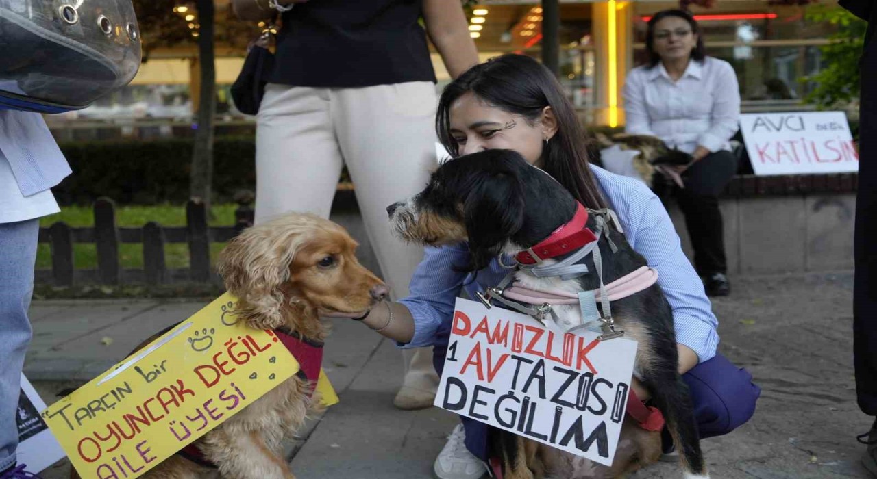 Gümüşhanede Hayvanları Koruma Gününde anlamlı yürüyüş