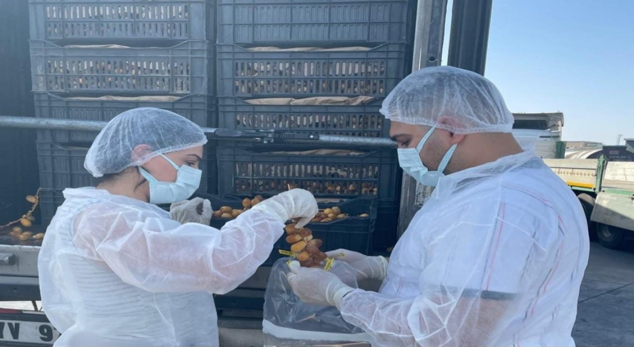 Habur Sınır Kapısında taze hurma ithalatına sıkı denetim