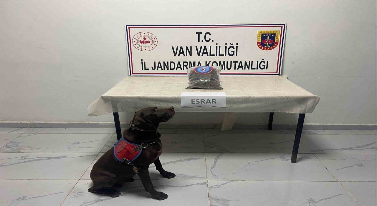 Hakkaride kubar esrar ele geçirildi