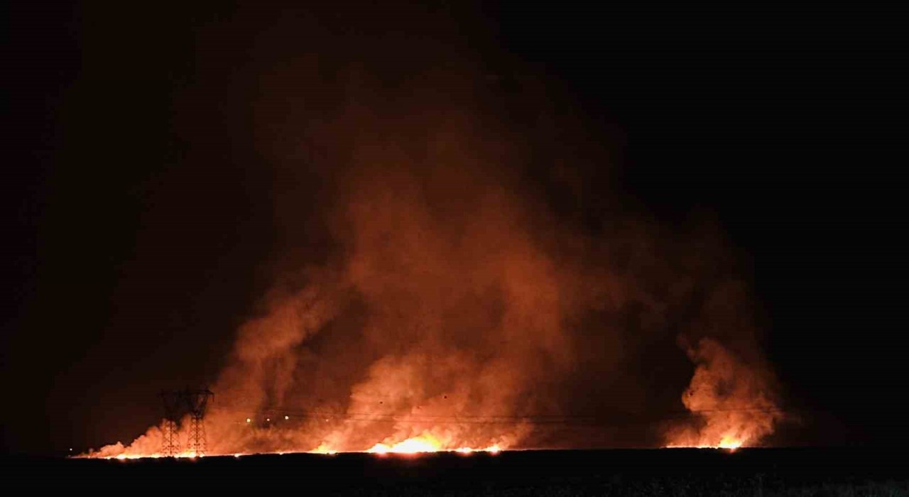 Hakkaride kuş cenneti Nehil Sazlığındaki yangın köyleri tehdit ediyor