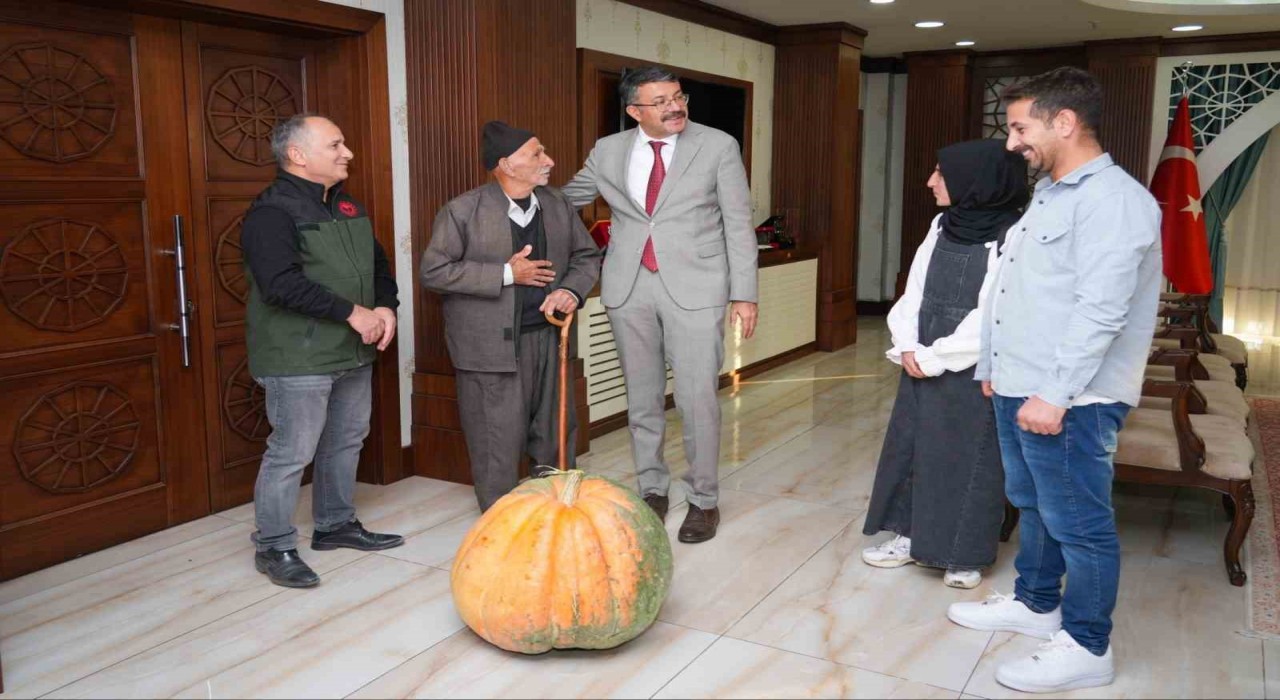 Hakkâride rekor: 50,5 kilo ağırlığında dev bal kabağı