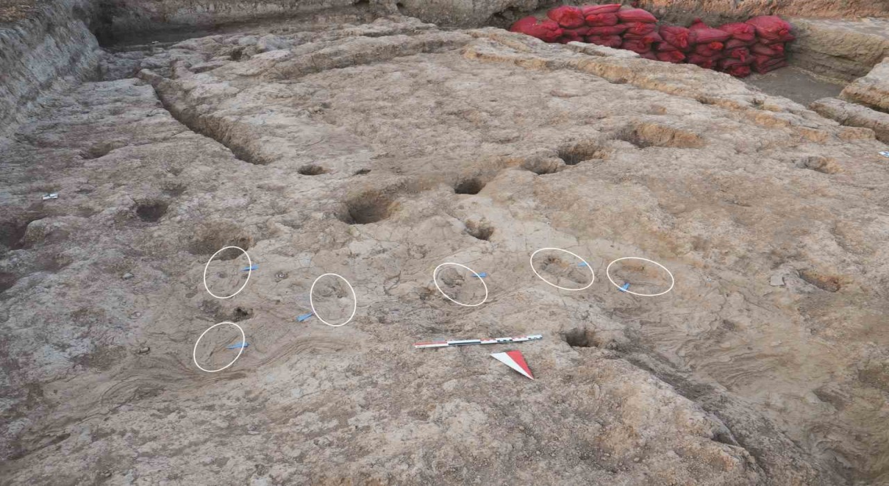 Hatayda 7 bin 200 yıl öncesine ait 5 insan ayak izi keşfedildi