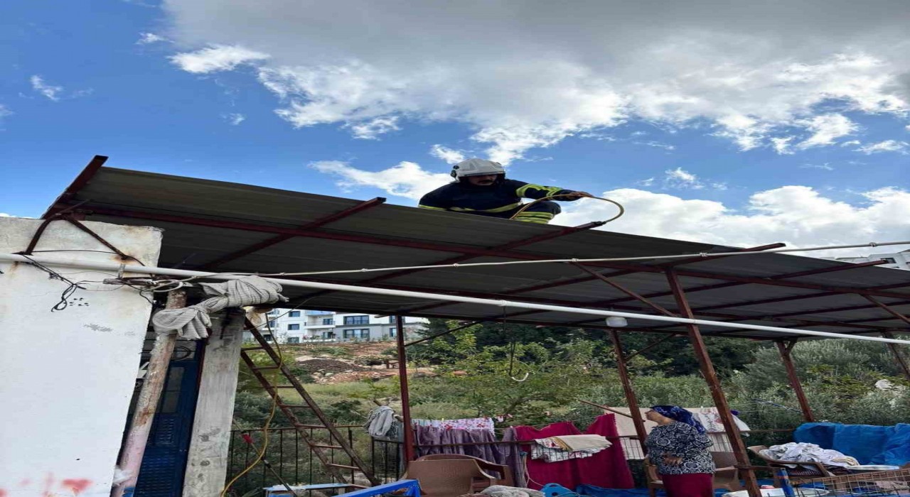 Hatayda eve giren 2 yılanı itfaiye yakaladı