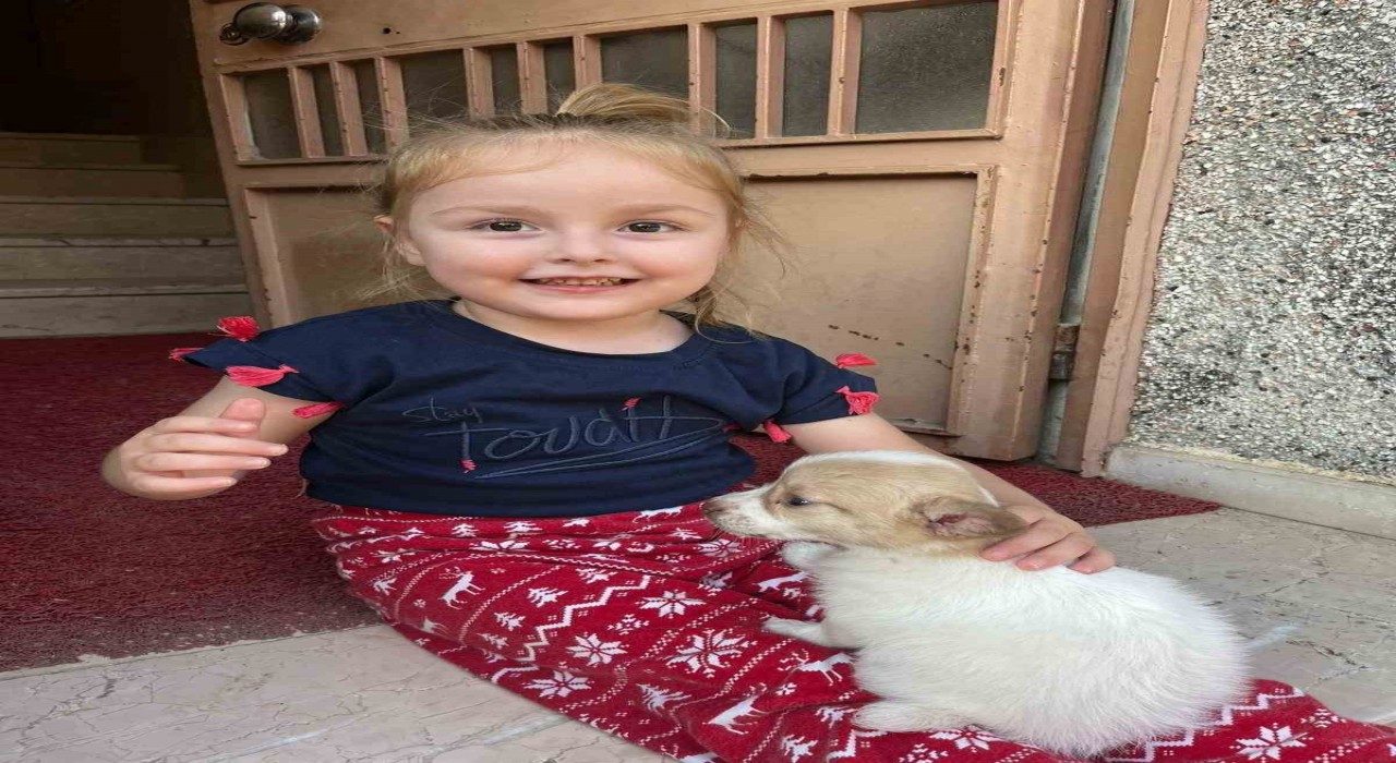 Hayatta olmayan Berrayı MEBBISe kayıt edip okula geldi gibi göstermişler