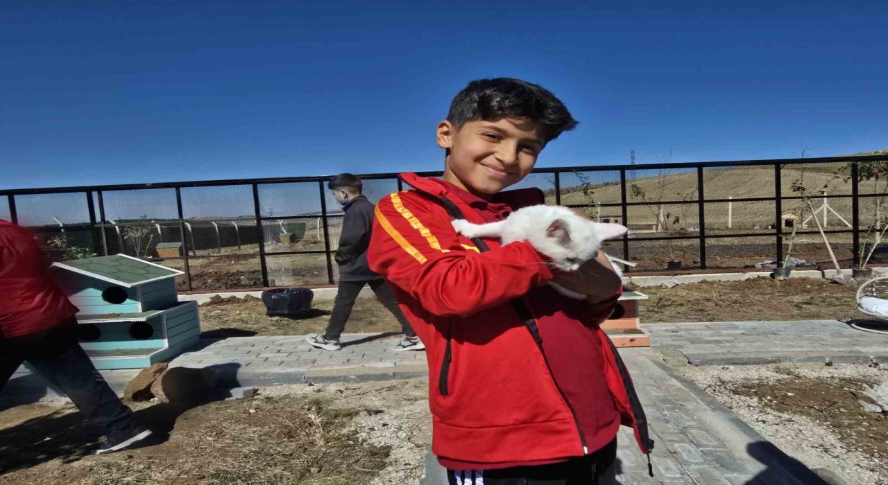 Hayvanları Koruma Gününde Evcil Köyde patili dostlarla buluştular