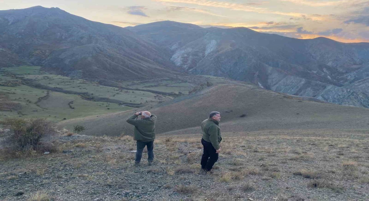 Iğdır Doğa Koruma ve Milli Parklar Şube Müdürlüğü saha denetimlerini aralıksız sürdürüyor
